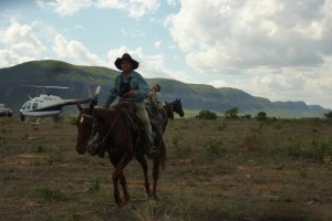 Aerial Stock Mustering