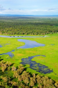 Cape York scenery